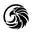 HAWK VISION logo